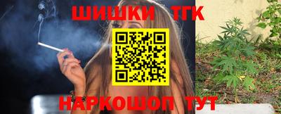 индика Рузаевка