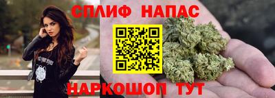 индика Рузаевка