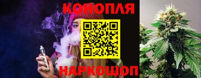 индика Рузаевка